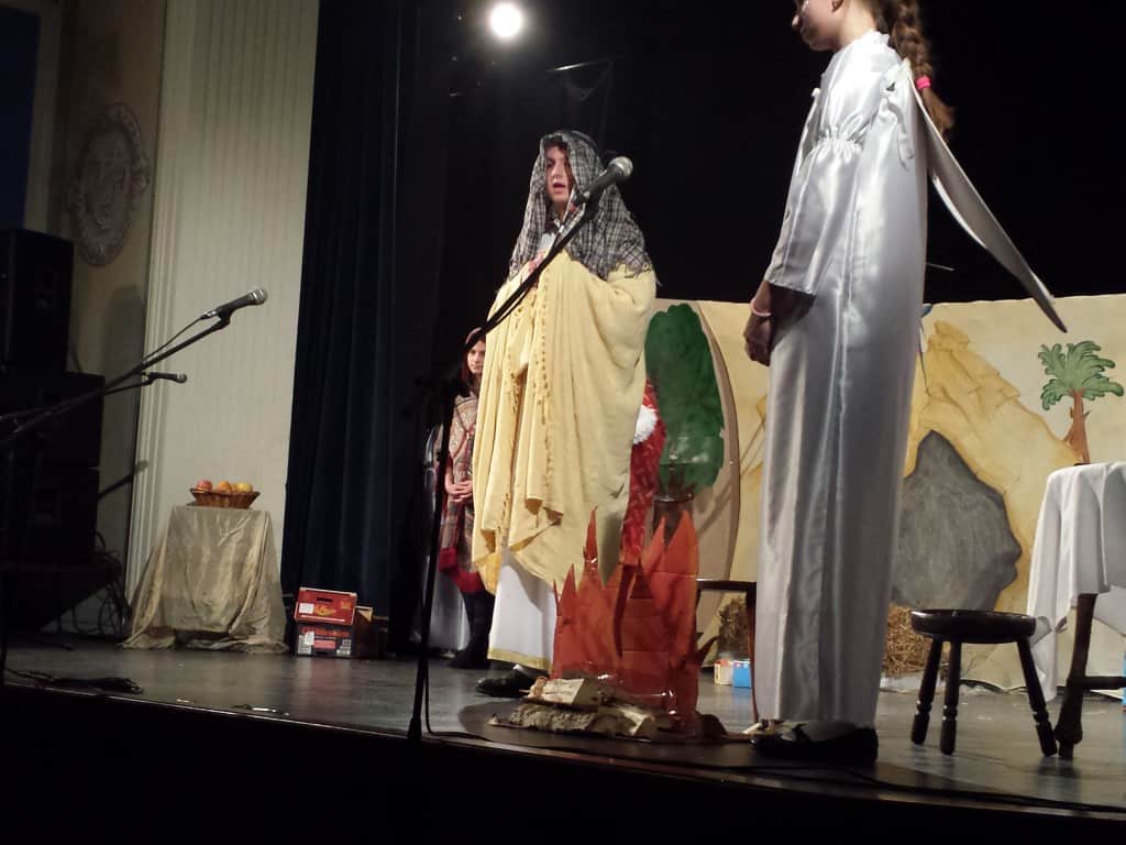 Svetosavska akademija, Dom kulture , Apatin ,januar 2015 (18)