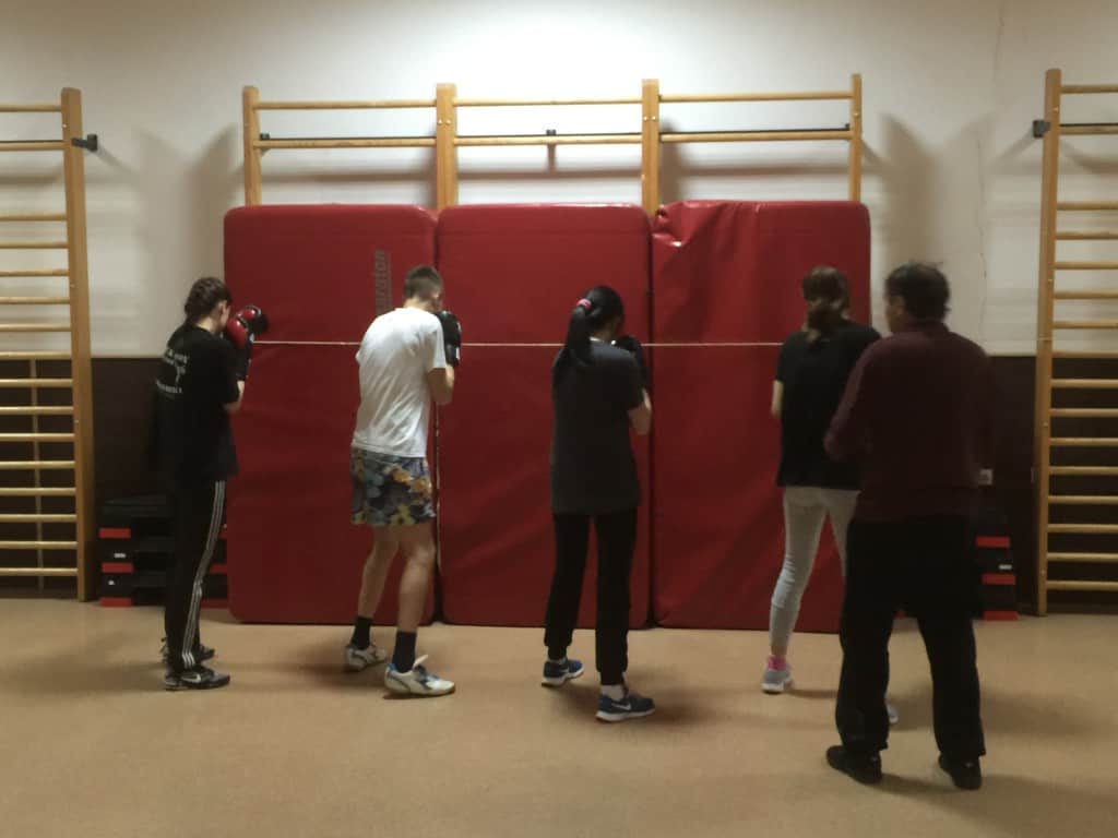 Bokserski klub Apatin, trening, april 2015 (1)