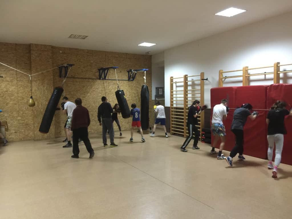 Bokserski klub Apatin, trening, april 2015 (4)