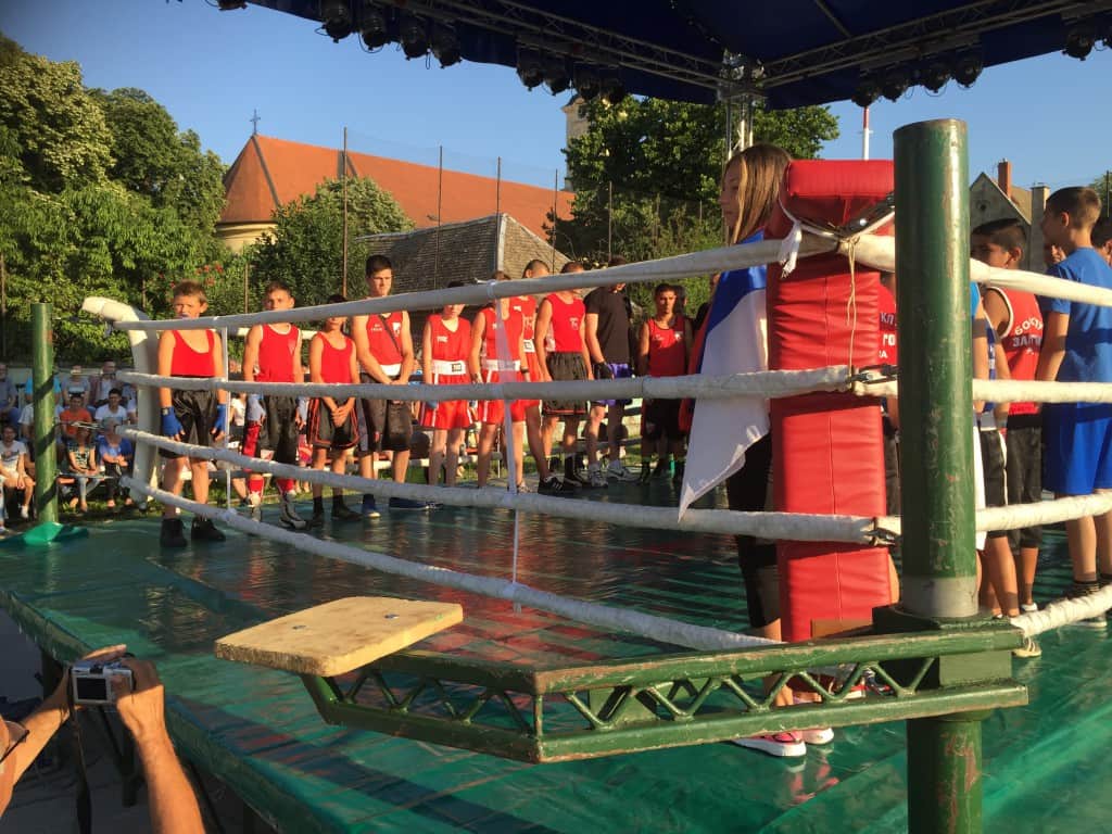 Bokserska revija, Apatin 2015