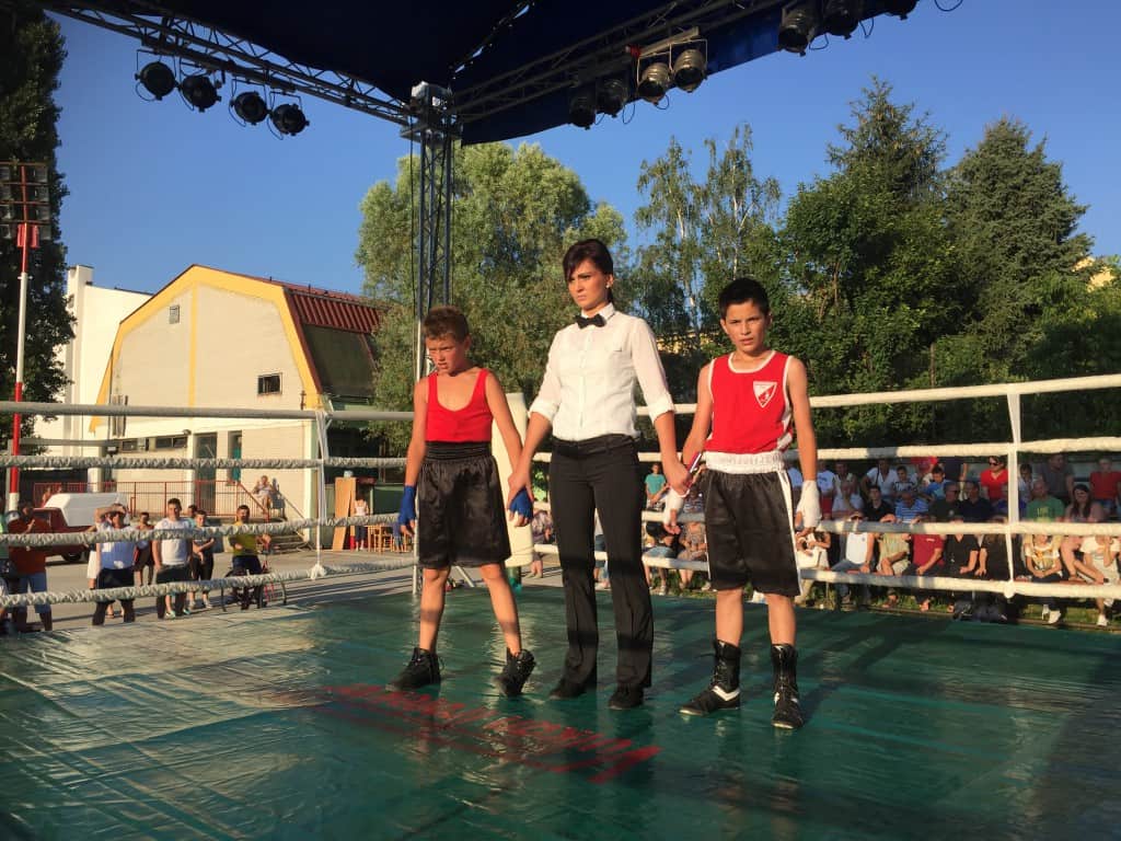 Bokserska revija, Apatin 2015