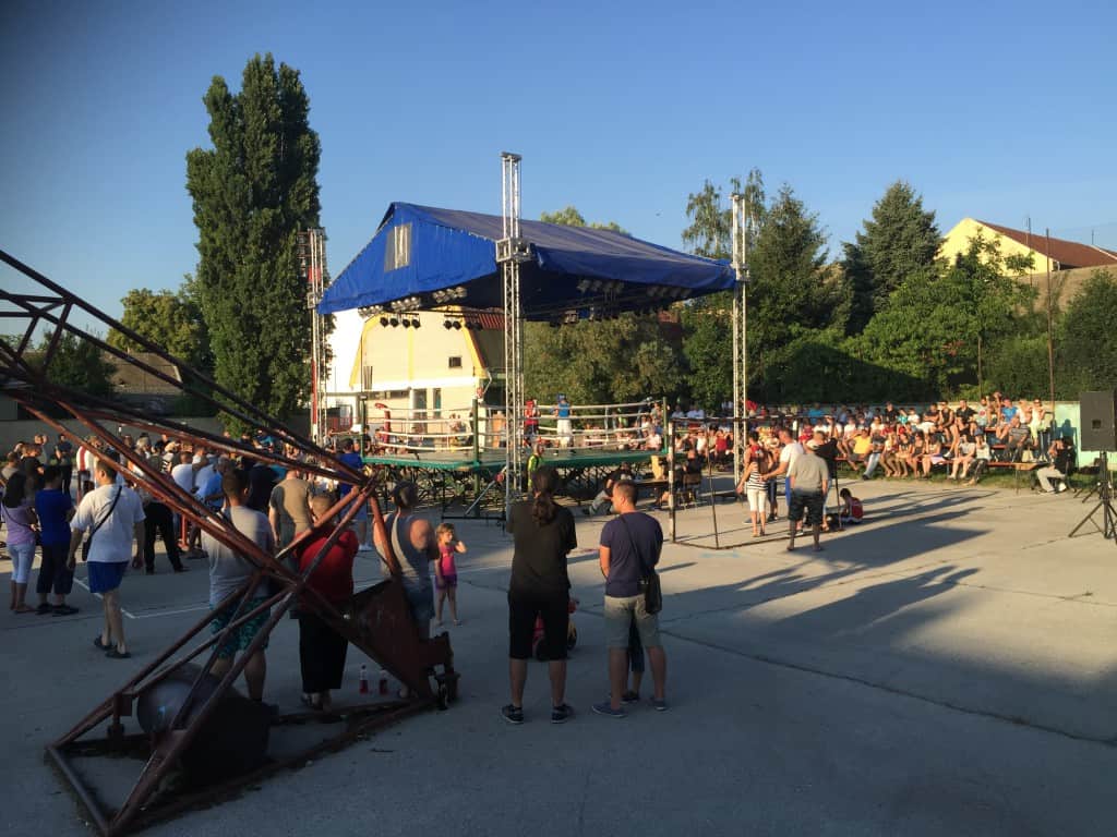 Bokserska revija, Apatin 2015