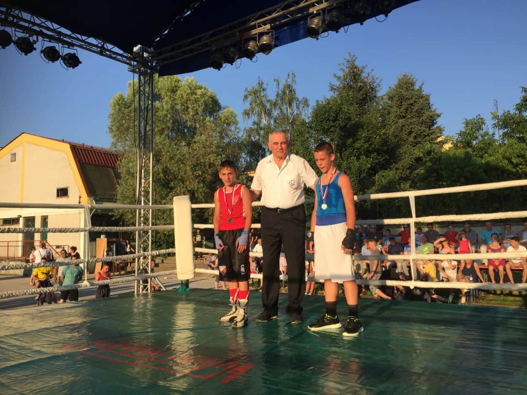 Bokserska revija, Apatin 2015