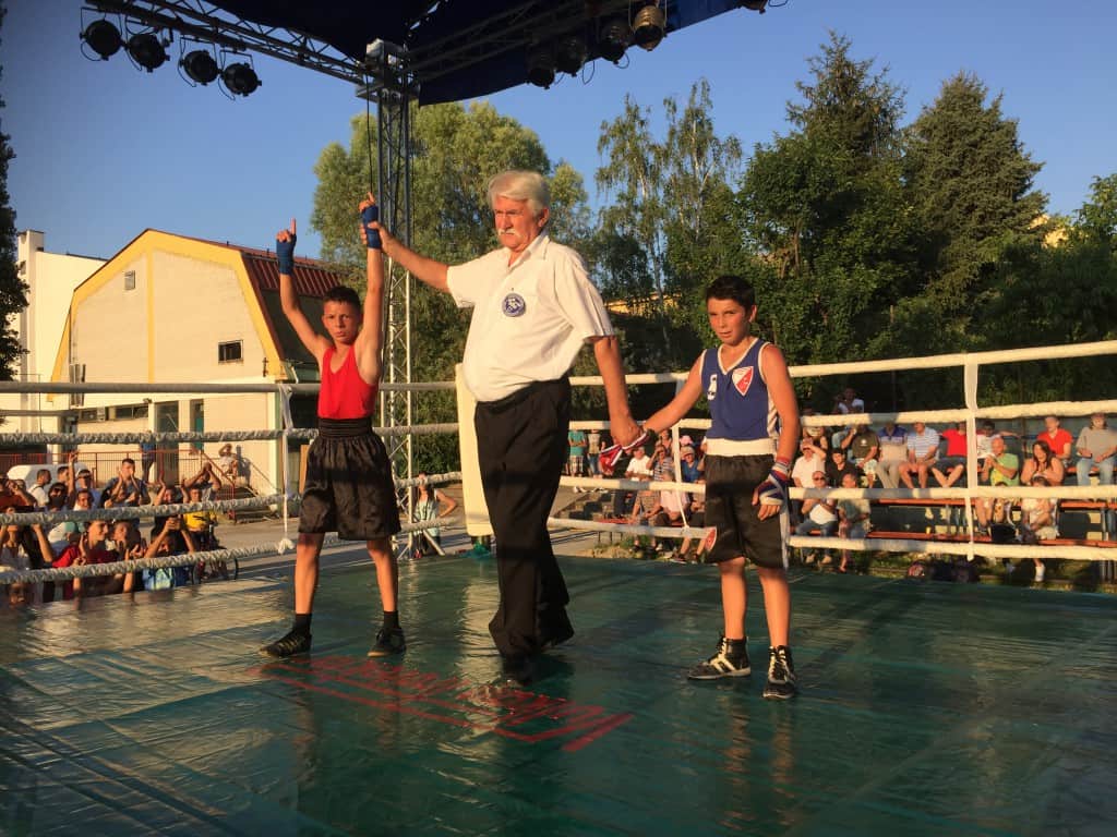 Bokserska revija, Apatin 2015