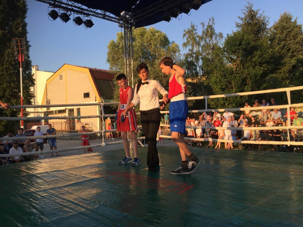 Bokserska revija, Apatin 2015