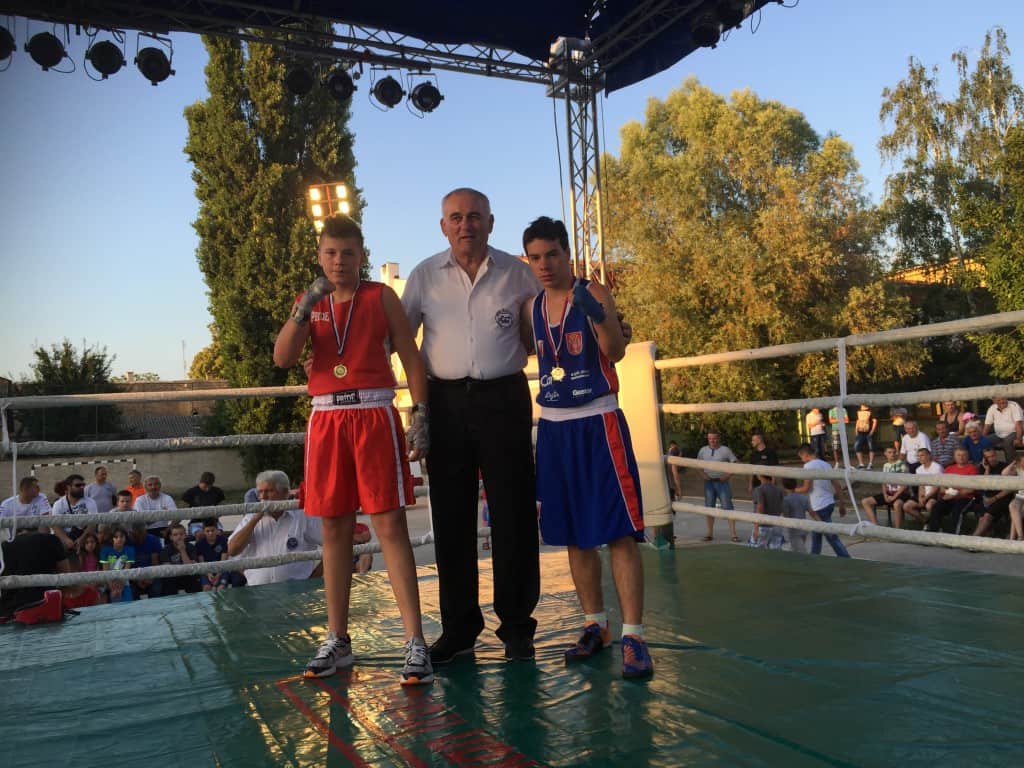 Bokserska revija, Apatin 2015