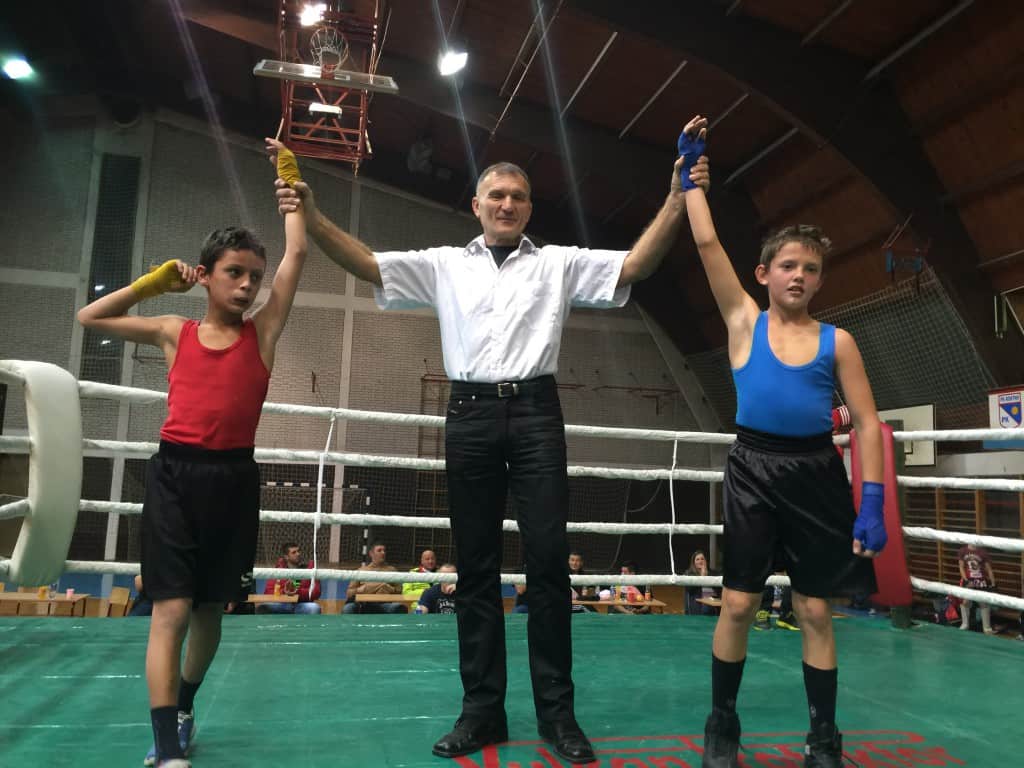 Fight Night , Apatin 2015