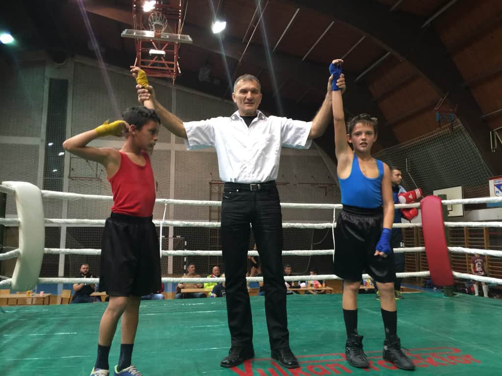 Fight Night , Apatin 2015