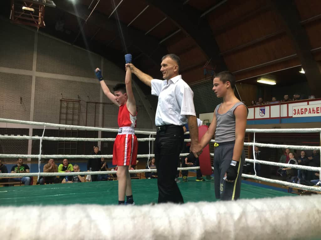 Fight Night , Apatin 2015