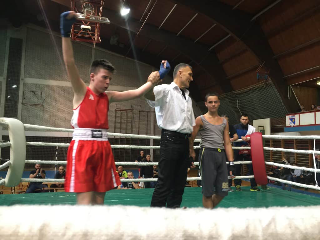 Fight Night , Apatin 2015