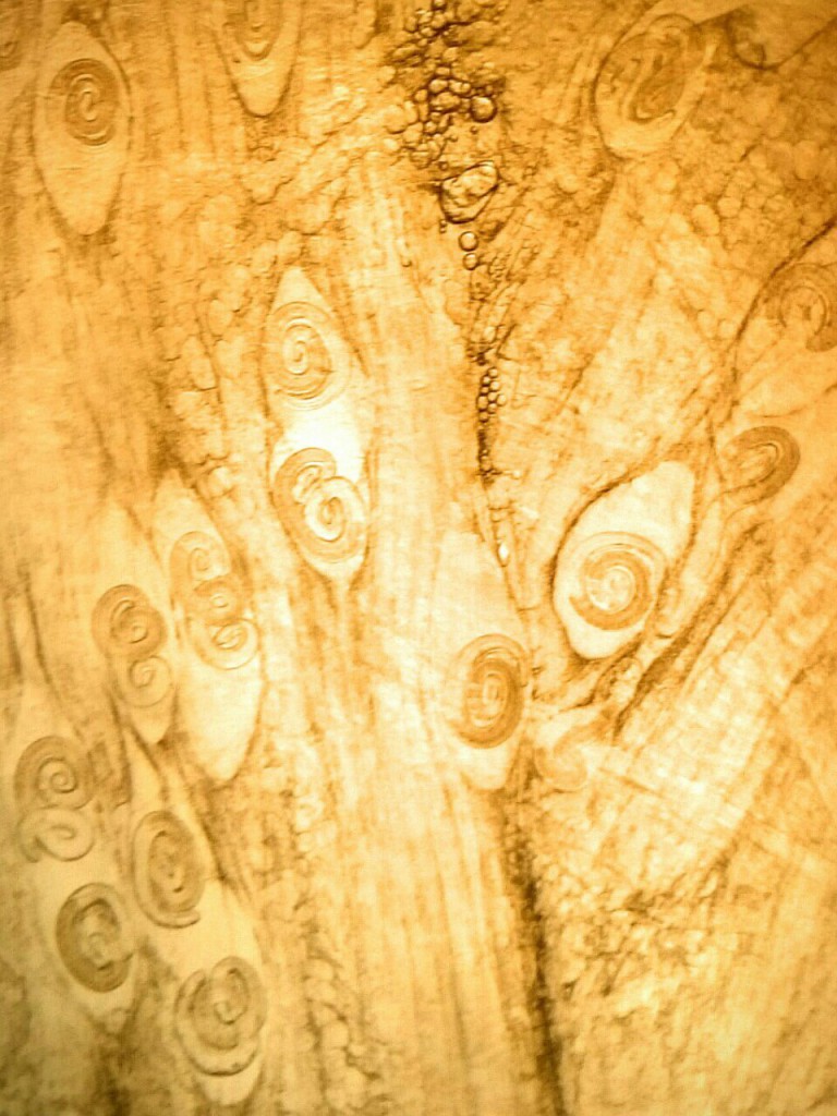 Trihinela, Apatin, mart 2016, Apavet, rekord 145 larvi isečak