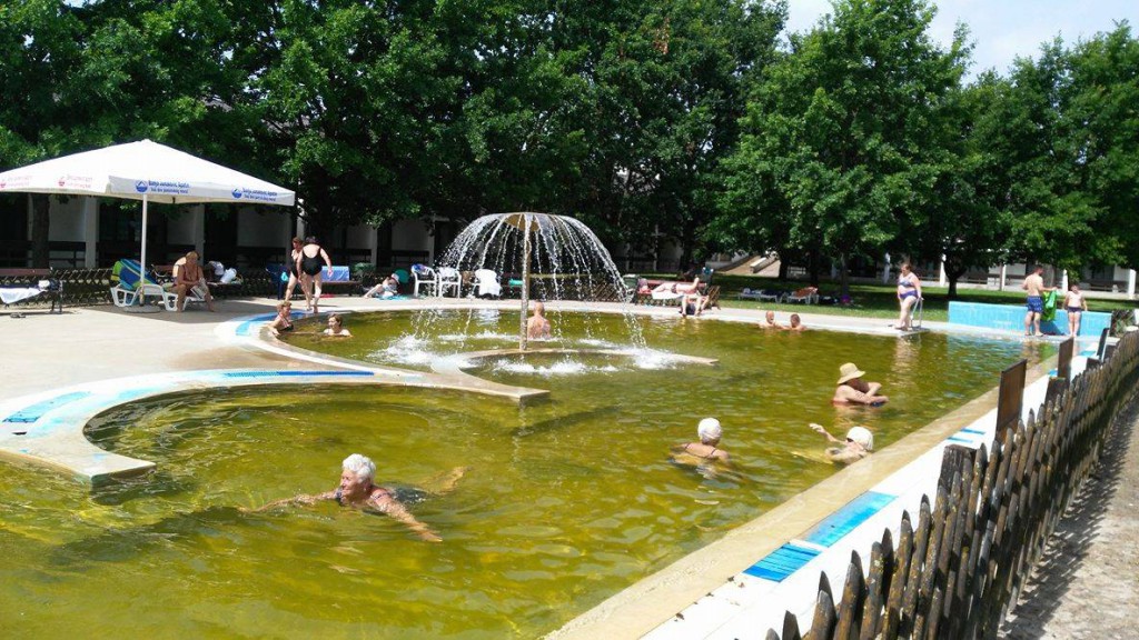 Otvaranje bazena Junakovic 2016 (1)