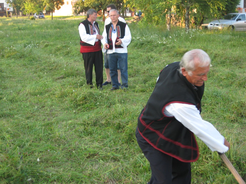 Petrovdanski zbor 2016, apatin (6)