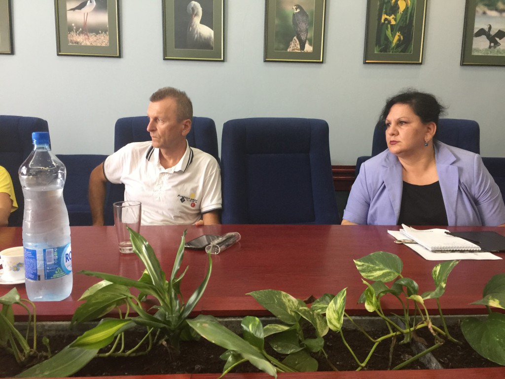 Radna grupa, psi lutalice, Apatin, nebojša vejin,