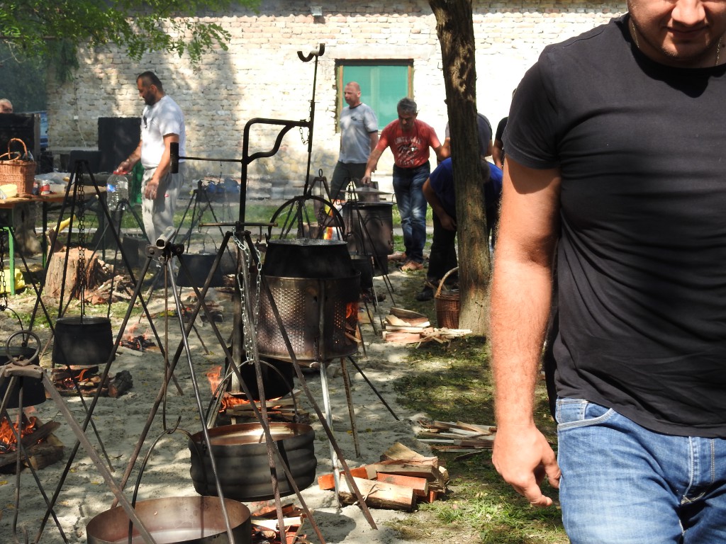 Gulašijada 2016, Apatin