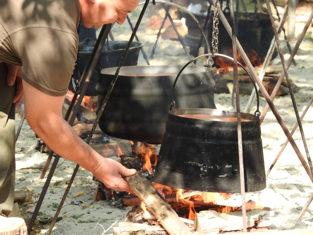 Gulašijada 2016, Apatin