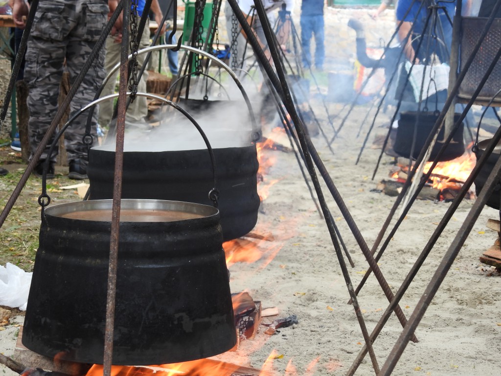Gulašijada Apatin 2016