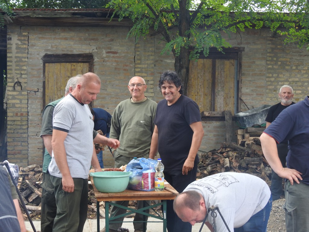 Gulašijada Apatin 2016