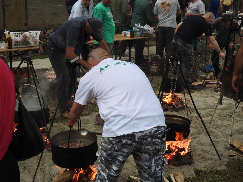 Gulašijada Apatin 2016