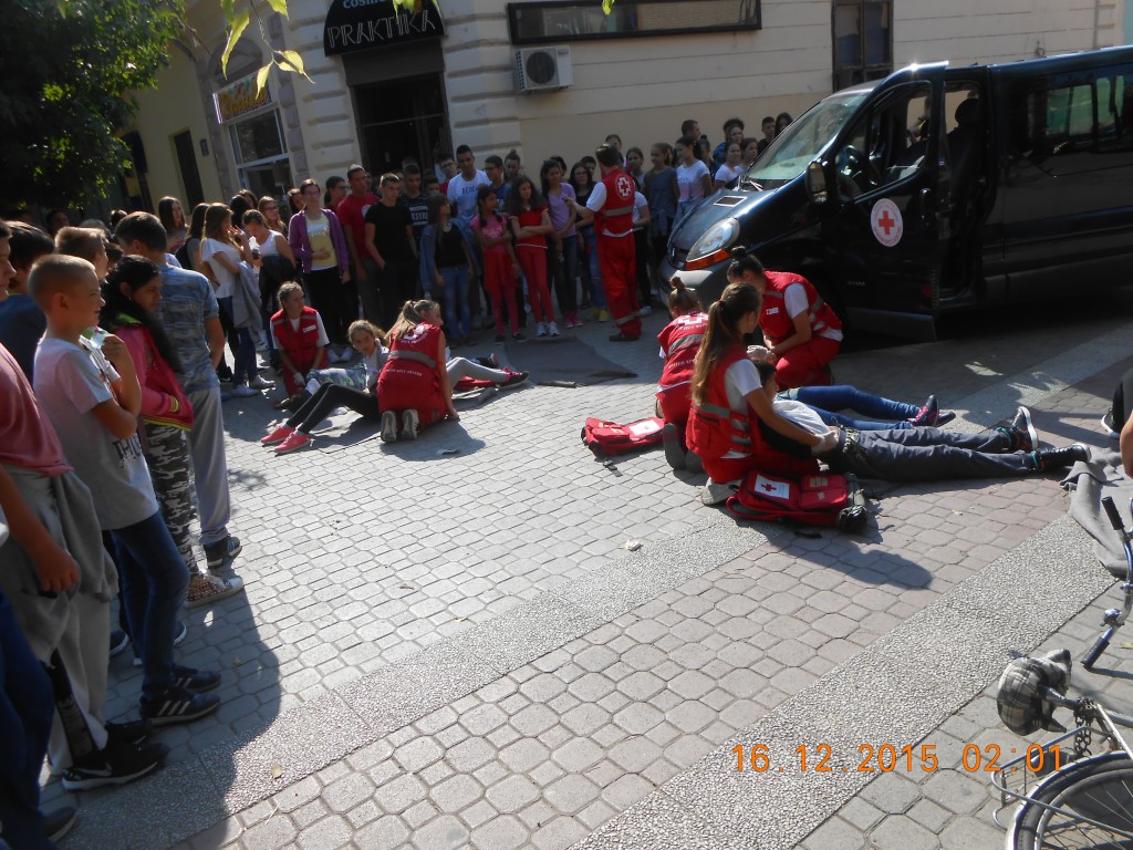 crveni krst apatin, pokaza vezba (3)