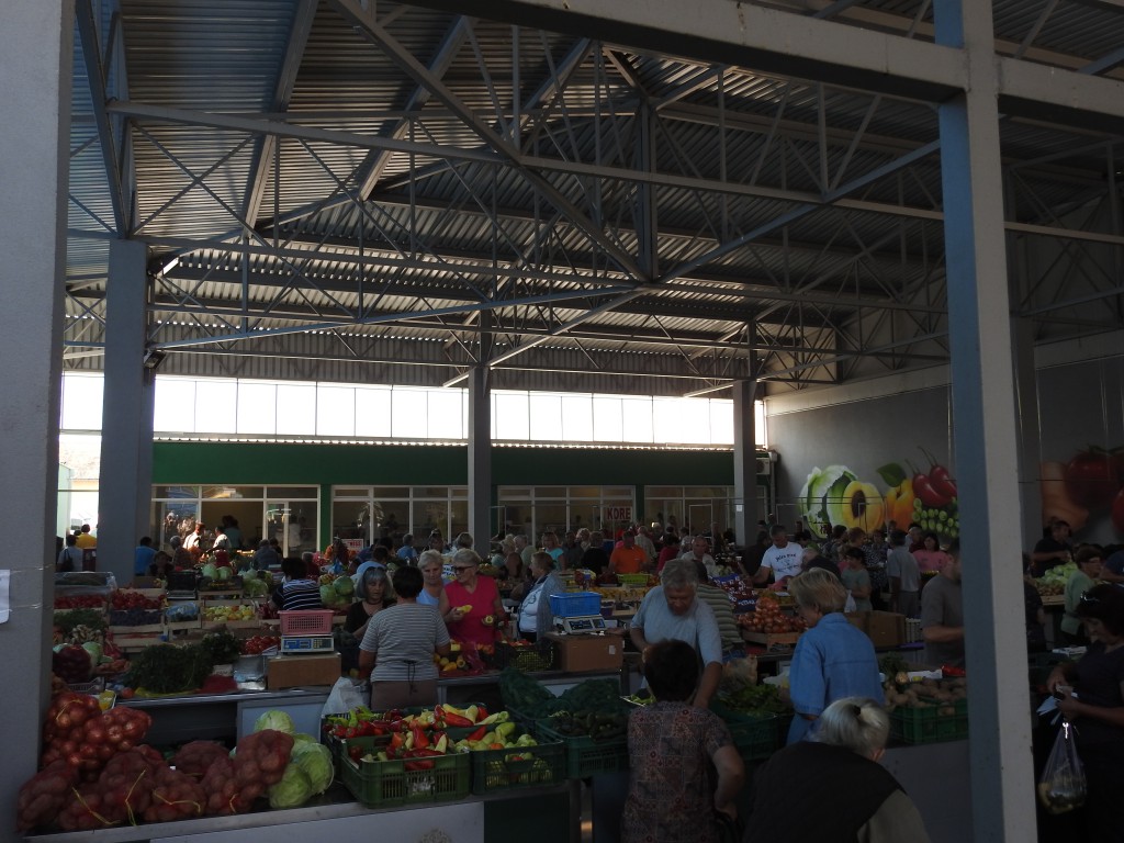 pIJACA, POVRCE, ZIMNICA (6)