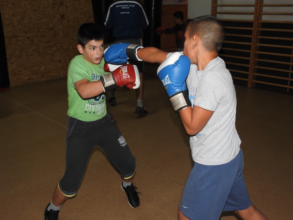 Boks klub Apatin, oktobar 2016