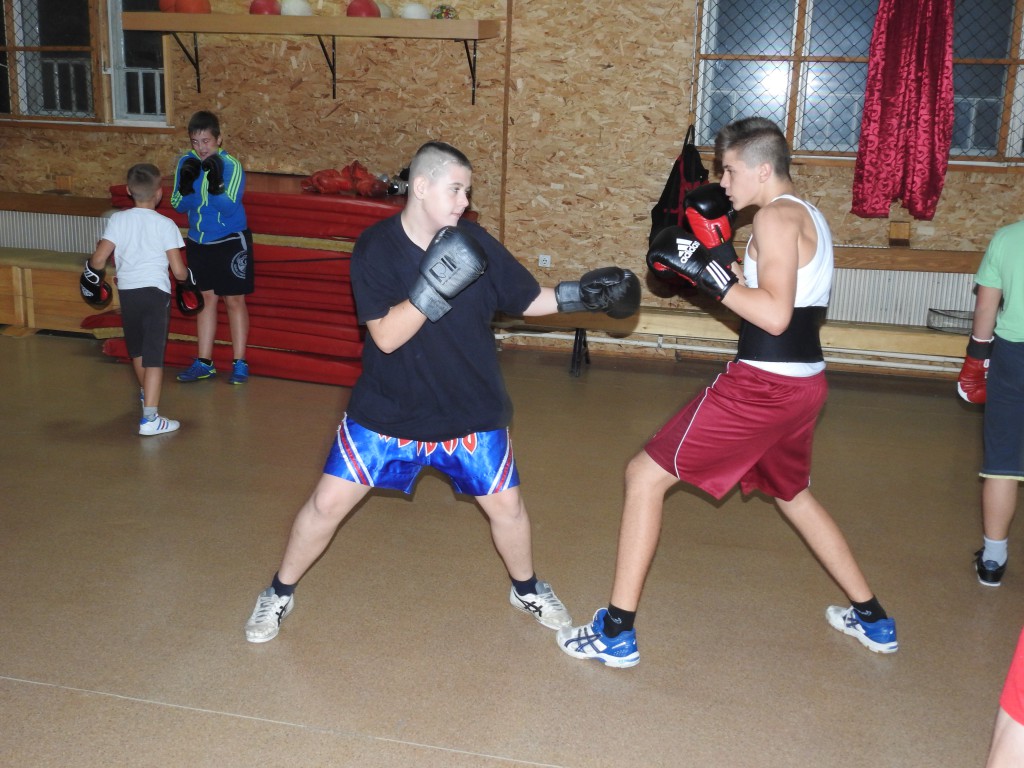 Boks klub Apatin, oktobar 2016
