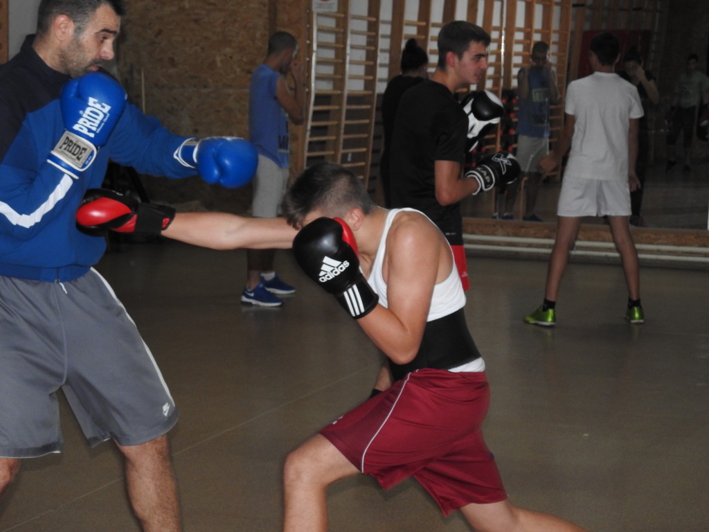 Boks klub Apatin, oktobar 2016