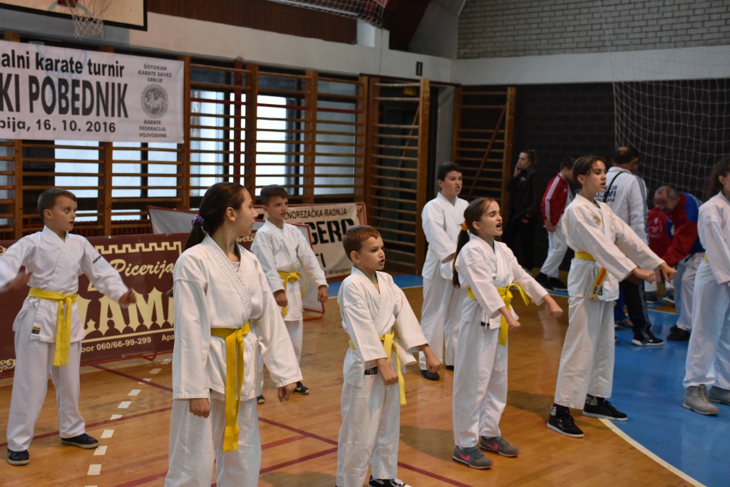 Apatinski pobednik 2016, međunarodni karate turnir, oktobar 16