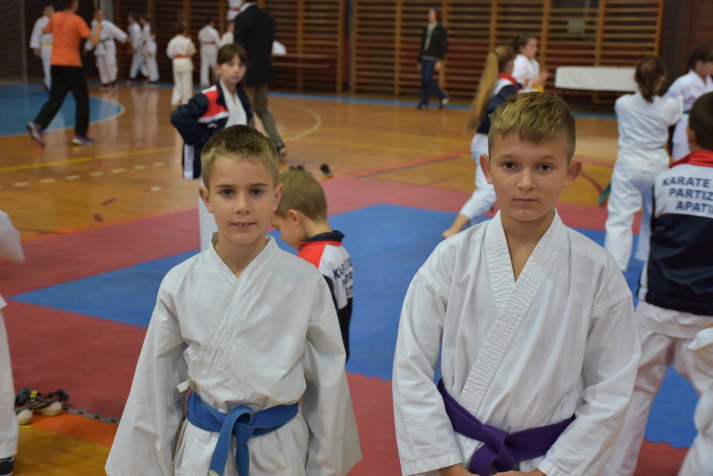 Apatinski pobednik 2016, međunarodni karate turnir, oktobar 16