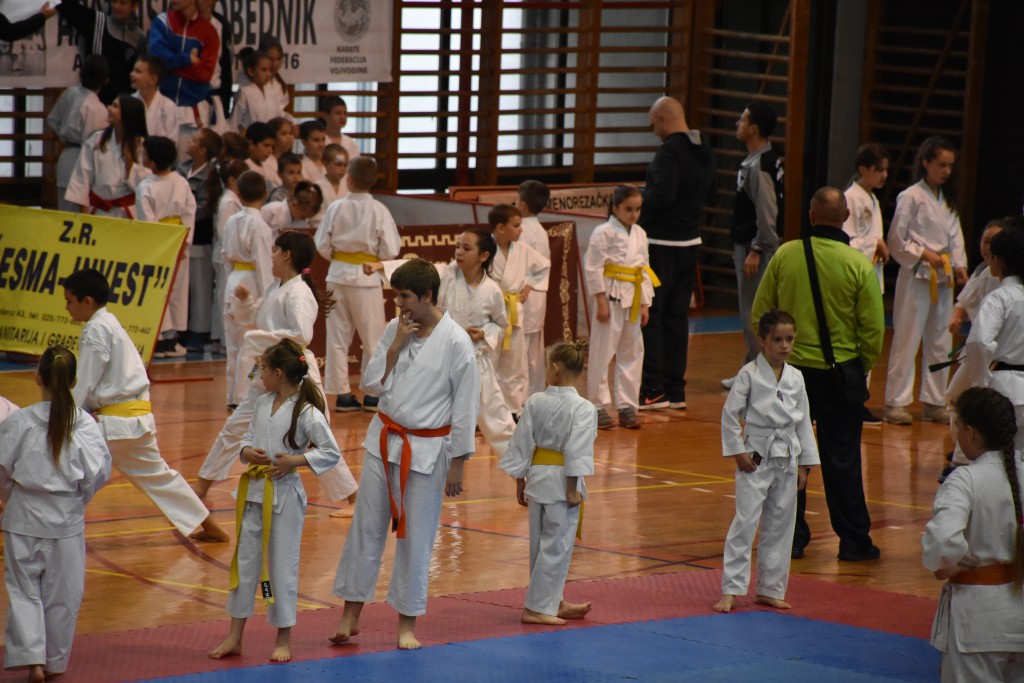 Apatinski pobednik 2016, međunarodni karate turnir, oktobar 16