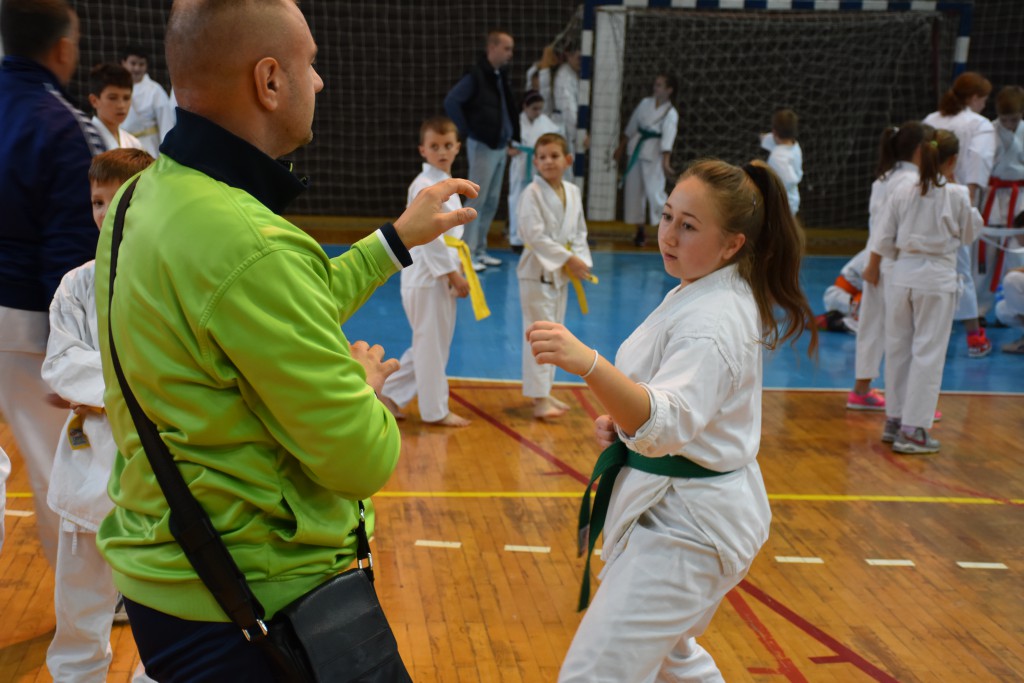 Apatinski pobednik 2016, međunarodni karate turnir, oktobar 16