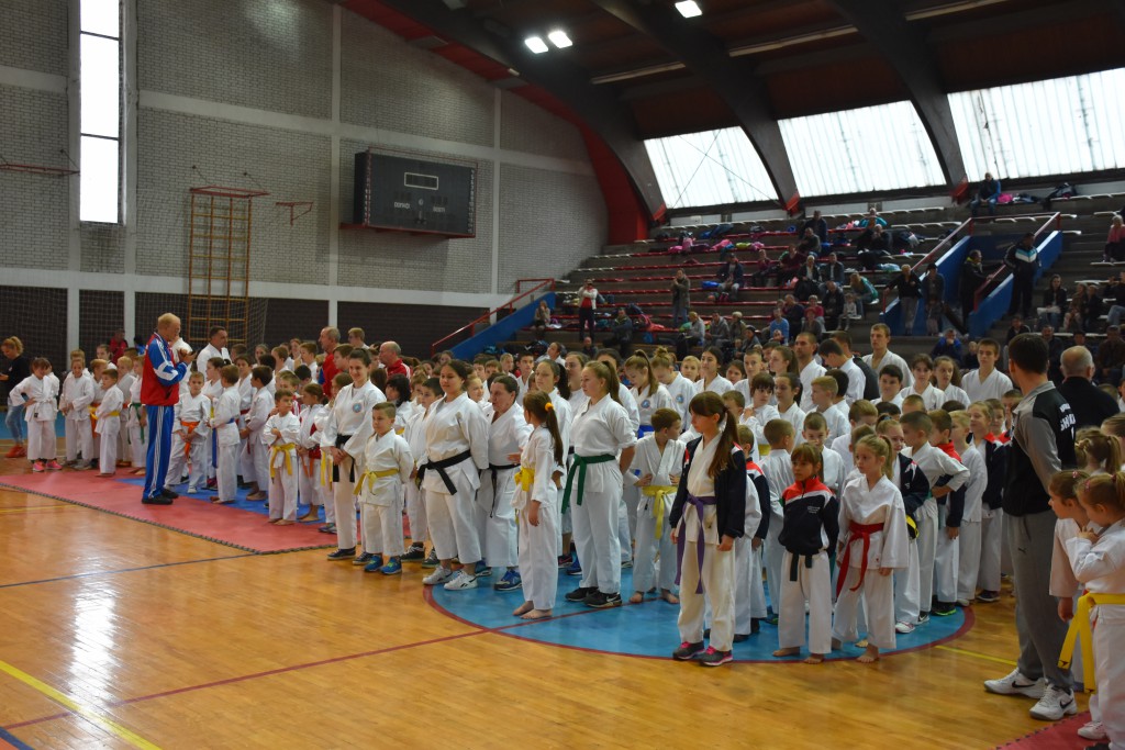 Apatinski pobednik 2016, međunarodni karate turnir, oktobar 16