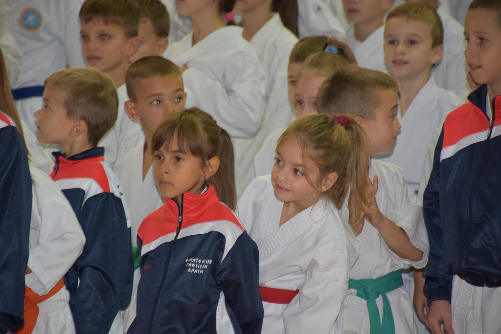 Apatinski pobednik 2016, međunarodni karate turnir, oktobar 16