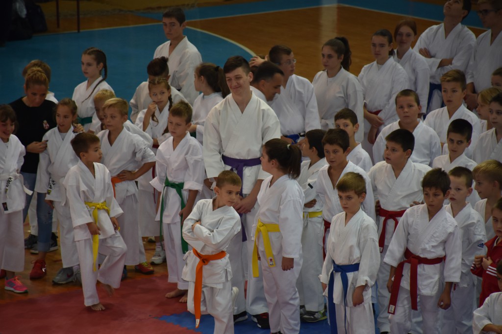 Apatinski pobednik 2016, međunarodni karate turnir, oktobar 16
