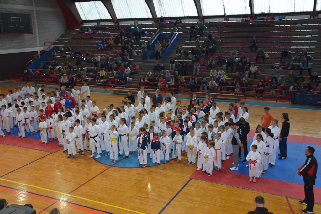 Apatinski pobednik 2016, međunarodni karate turnir, oktobar 16