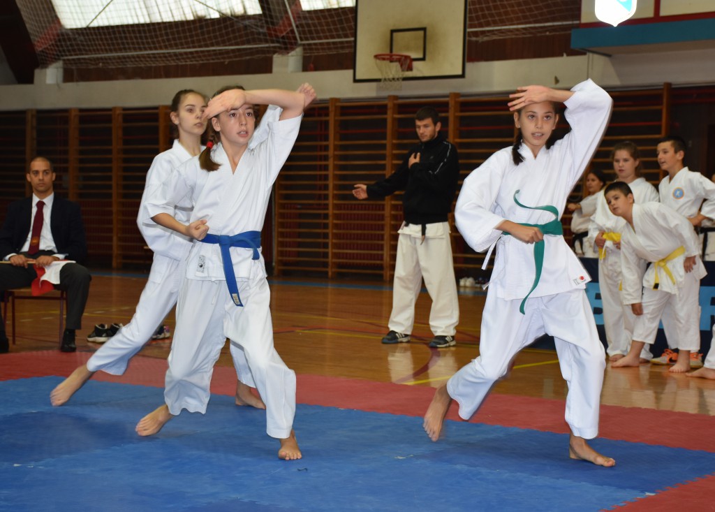 Apatinski pobednik 2016, međunarodni karate turnir, oktobar 16