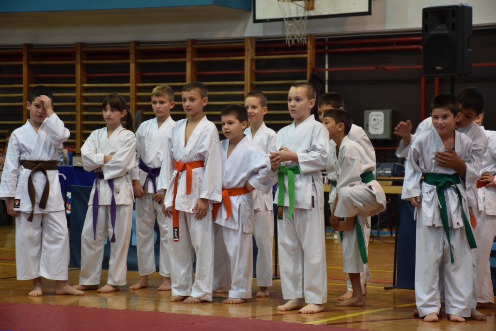 Apatinski pobednik 2016, međunarodni karate turnir, oktobar 16Apatinski pobednik 2016, međunarodni karate turnir, oktobar 16