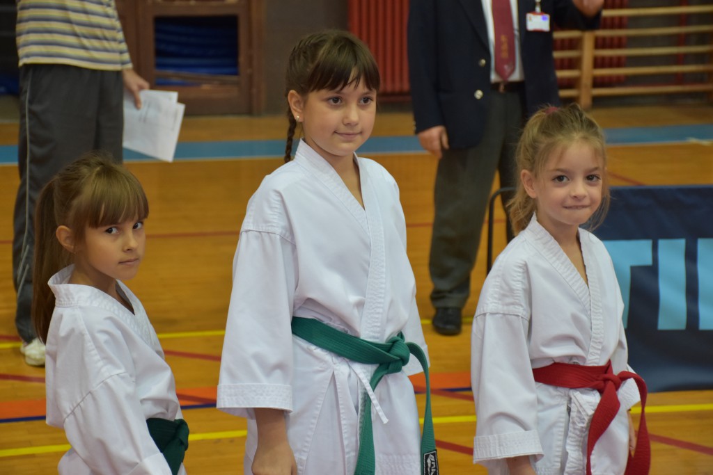 Apatinski pobednik 2016, međunarodni karate turnir, oktobar 16Apatinski pobednik 2016, međunarodni karate turnir, oktobar 16