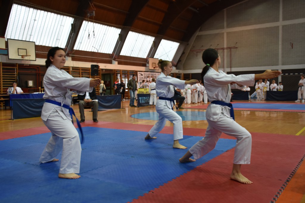 Apatinski pobednik 2016, međunarodni karate turnir, oktobar 16Apatinski pobednik 2016, međunarodni karate turnir, oktobar 16