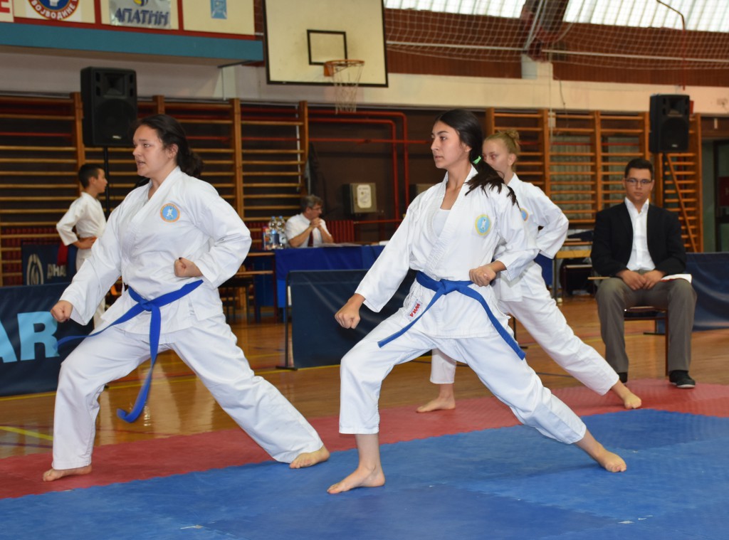 Apatinski pobednik 2016, međunarodni karate turnir, oktobar 16Apatinski pobednik 2016, međunarodni karate turnir, oktobar 16