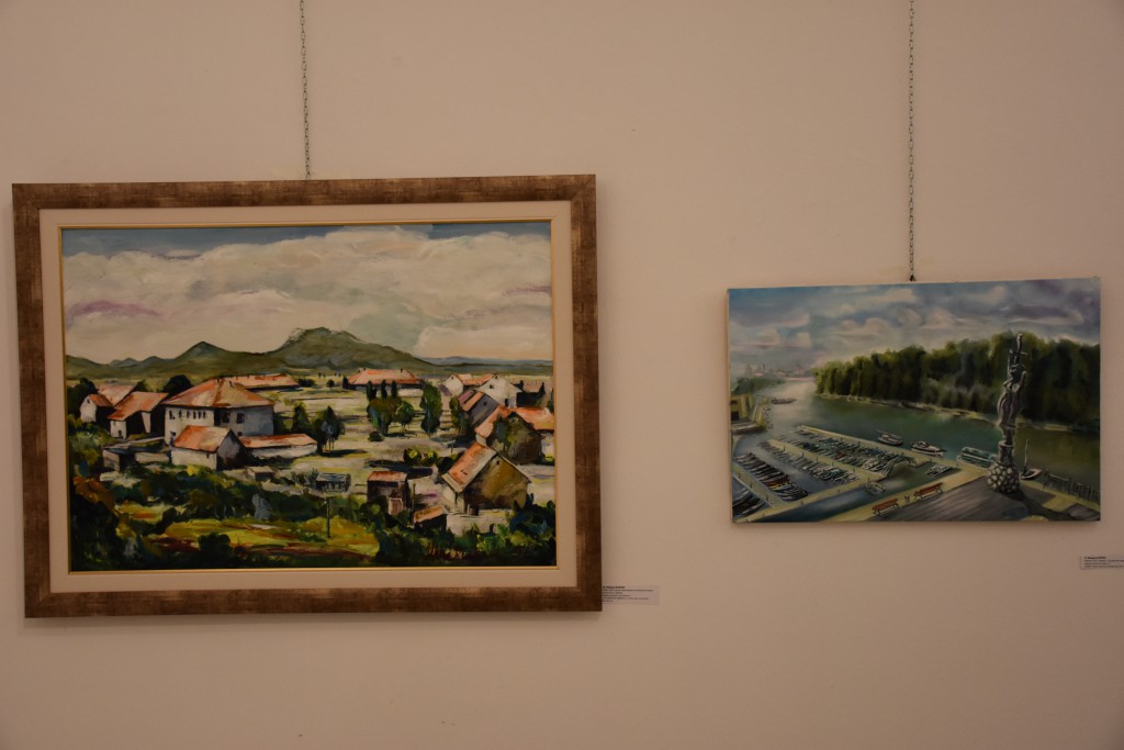 Galerija Meander, izlozba stvaralaca opstine Apatin (1)