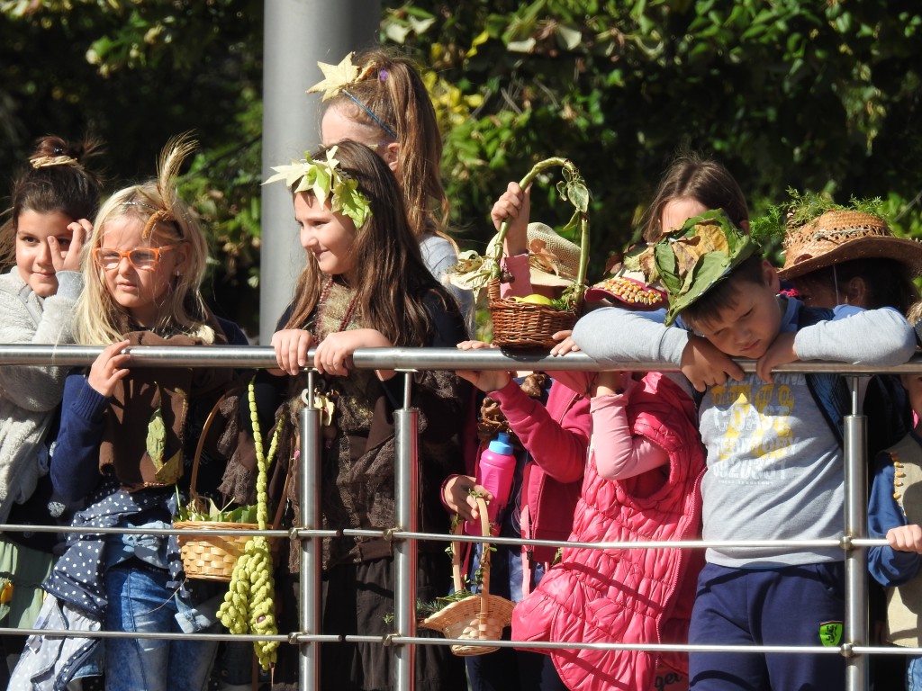 U susret jeseni, Maskembal osnovaca oktobar 2016 (85)