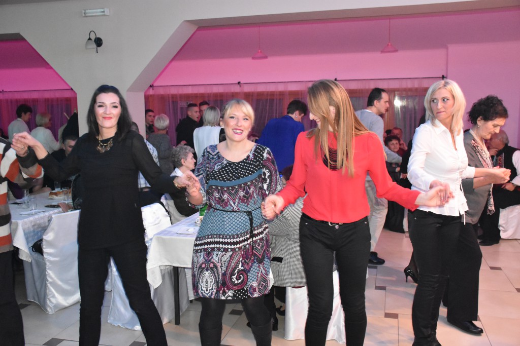 Krajisko vece , novembar 2016 Apatin (48)