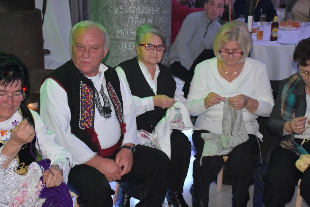 Krajisko vece , novembar 2016 Apatin (10)