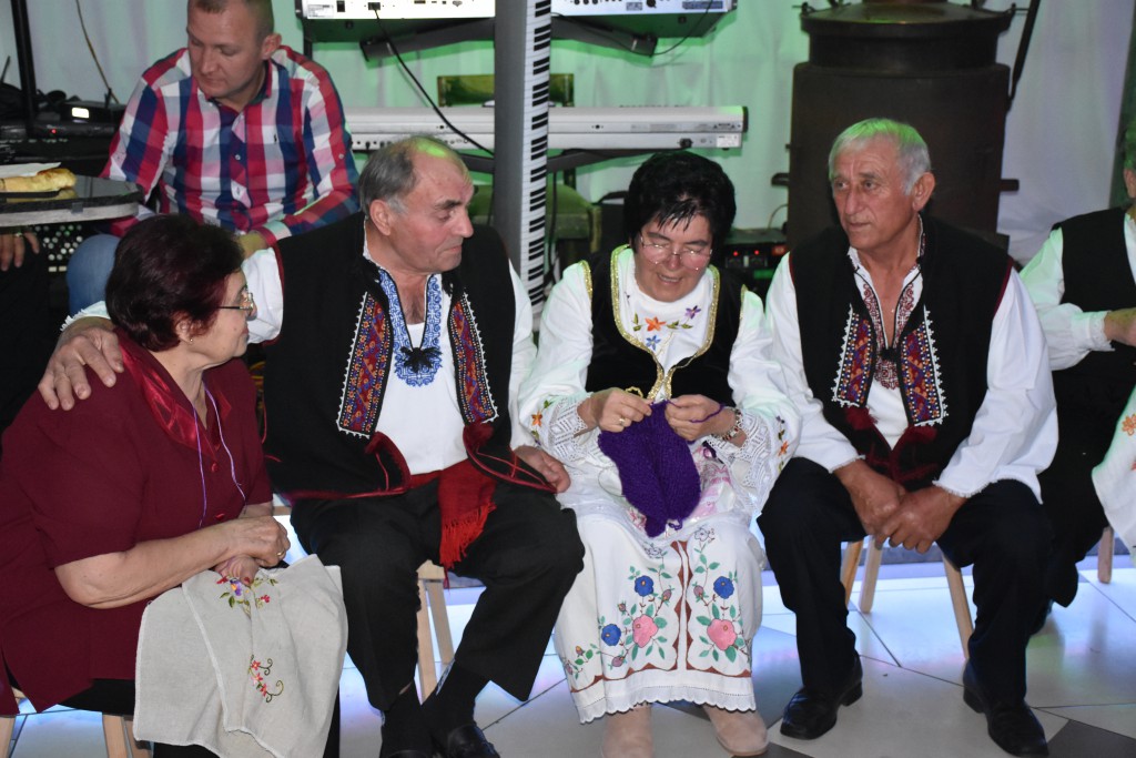 Krajisko vece , novembar 2016 Apatin (15)