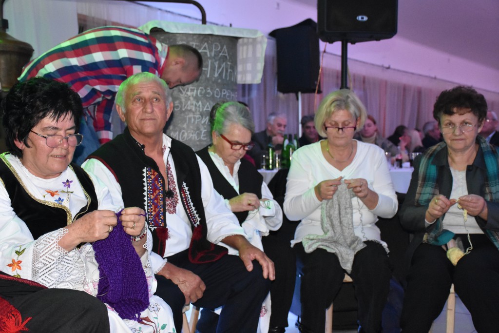 Krajisko vece , novembar 2016 Apatin (20)