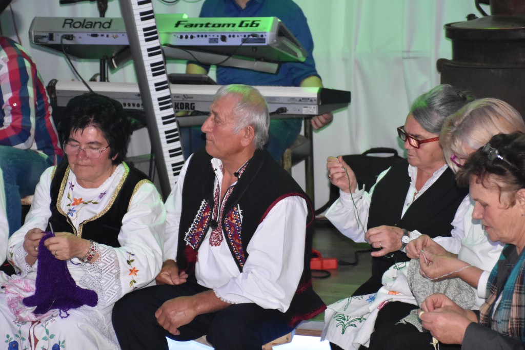 Krajisko vece , novembar 2016 Apatin (26)