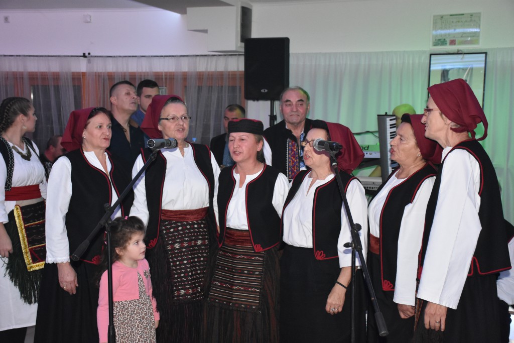 Krajisko vece , novembar 2016 Apatin (32)