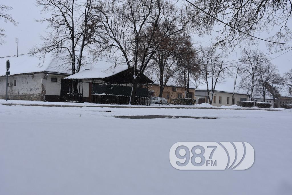 Apatin, sneg, zimska sluzba, grad pod snegom (3)